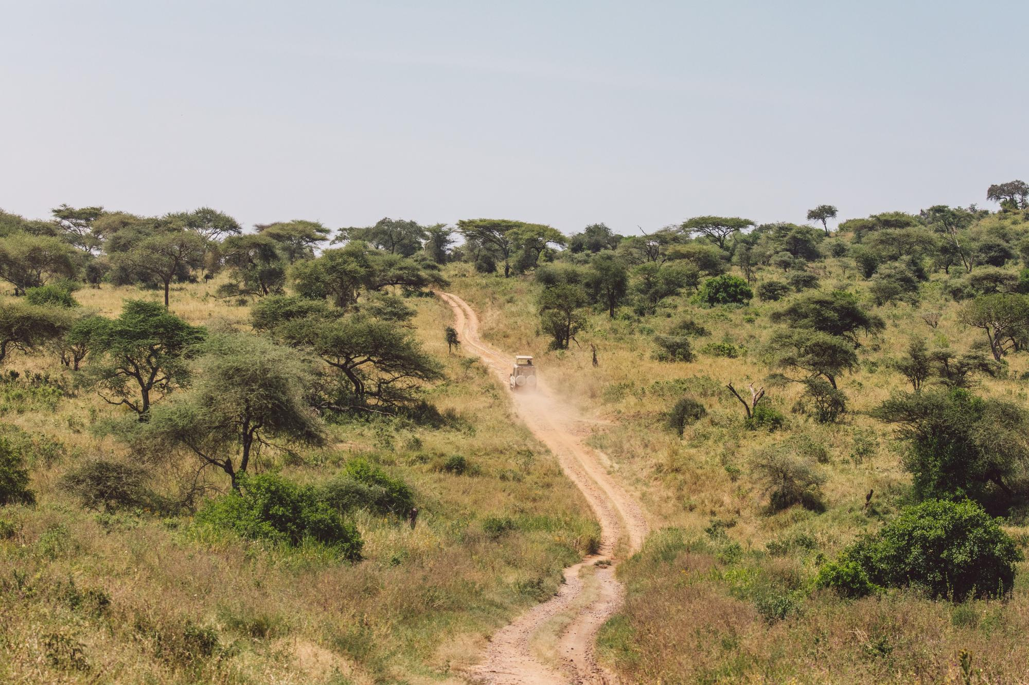 A road winding through the South African landscape